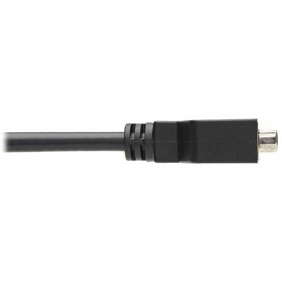 Tripp Lite series DisplayPort to DVI Cable Adapter - 6" A/V Cable - First End: 1 x 20-pin DisplayPort Digital Audio/Video - Male - Second End: 1 x 29-pin DVI-I Digital Video - Female - Black - 1 Each - TAA Compliant