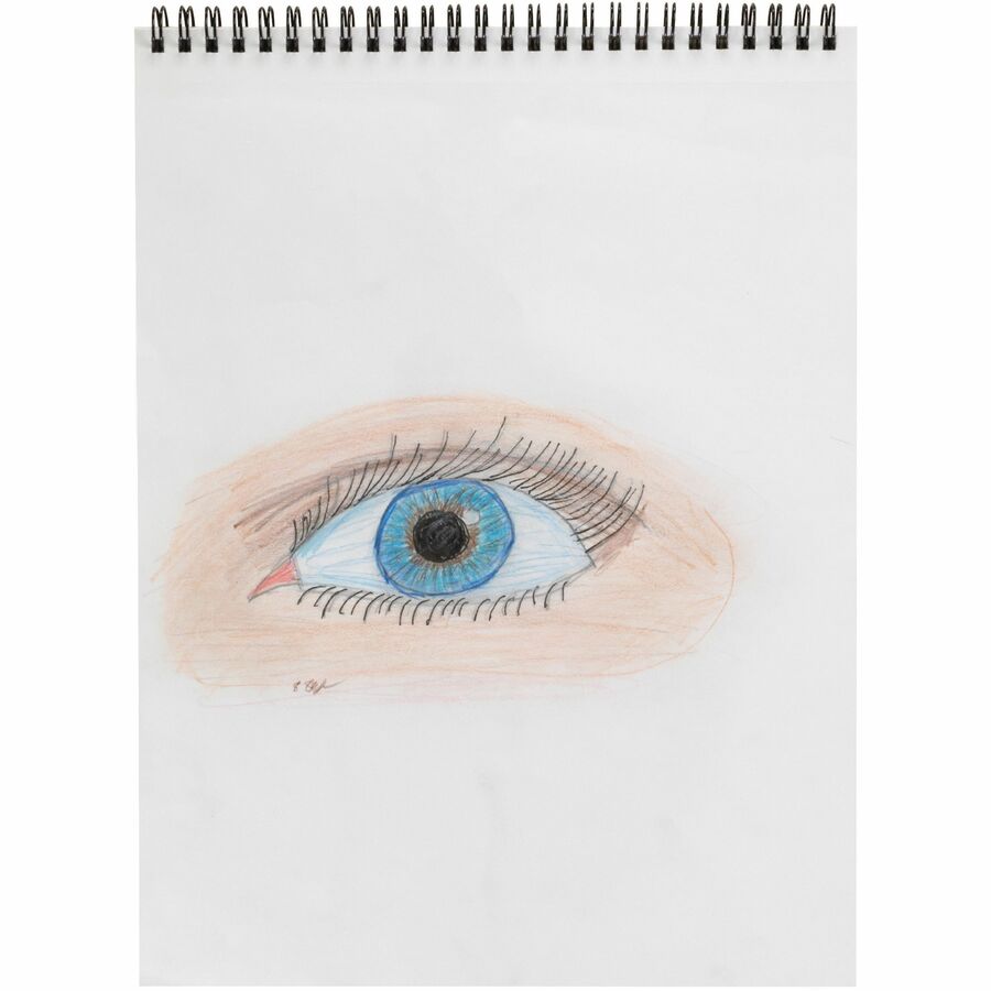 Prang Master Pack Colored Pencils - 3.3 mm Lead - Assorted Barrel - 288 / Box