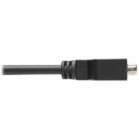 Tripp Lite DisplayPort to DVI Cable Adapter - 6’’ A/V - Black - TAA Compliant - Audio/Video Cables & Accessories