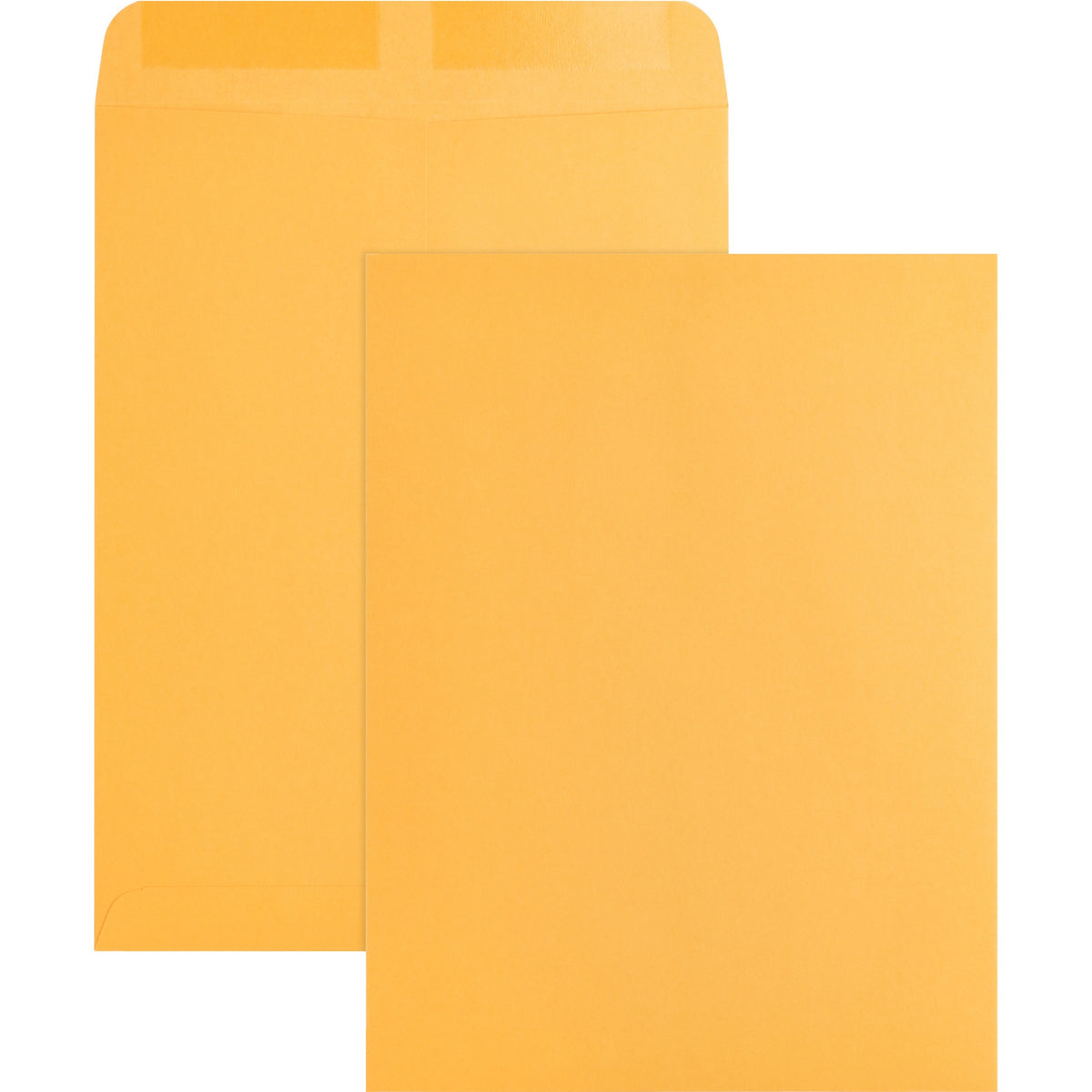 Business Source Kraft Gummed Catalog Envelopes - Catalog - #10 1/2 - 9" Width x 12" Length - 28 lb - Gummed - Kraft - Kraft - 250 / Box