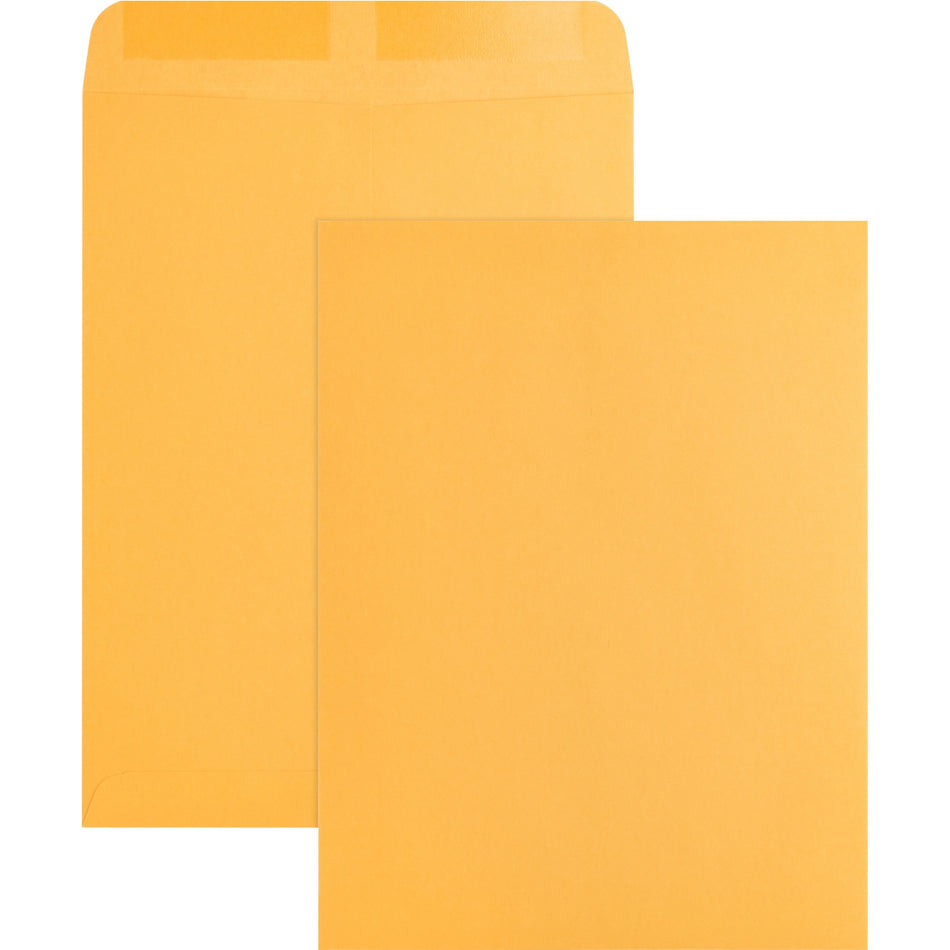 Business Source Kraft Gummed Catalog Envelopes - Catalog - #10 1/2 - 9" Width x 12" Length - 28 lb - Gummed - Kraft - Kraft - 250 / Box