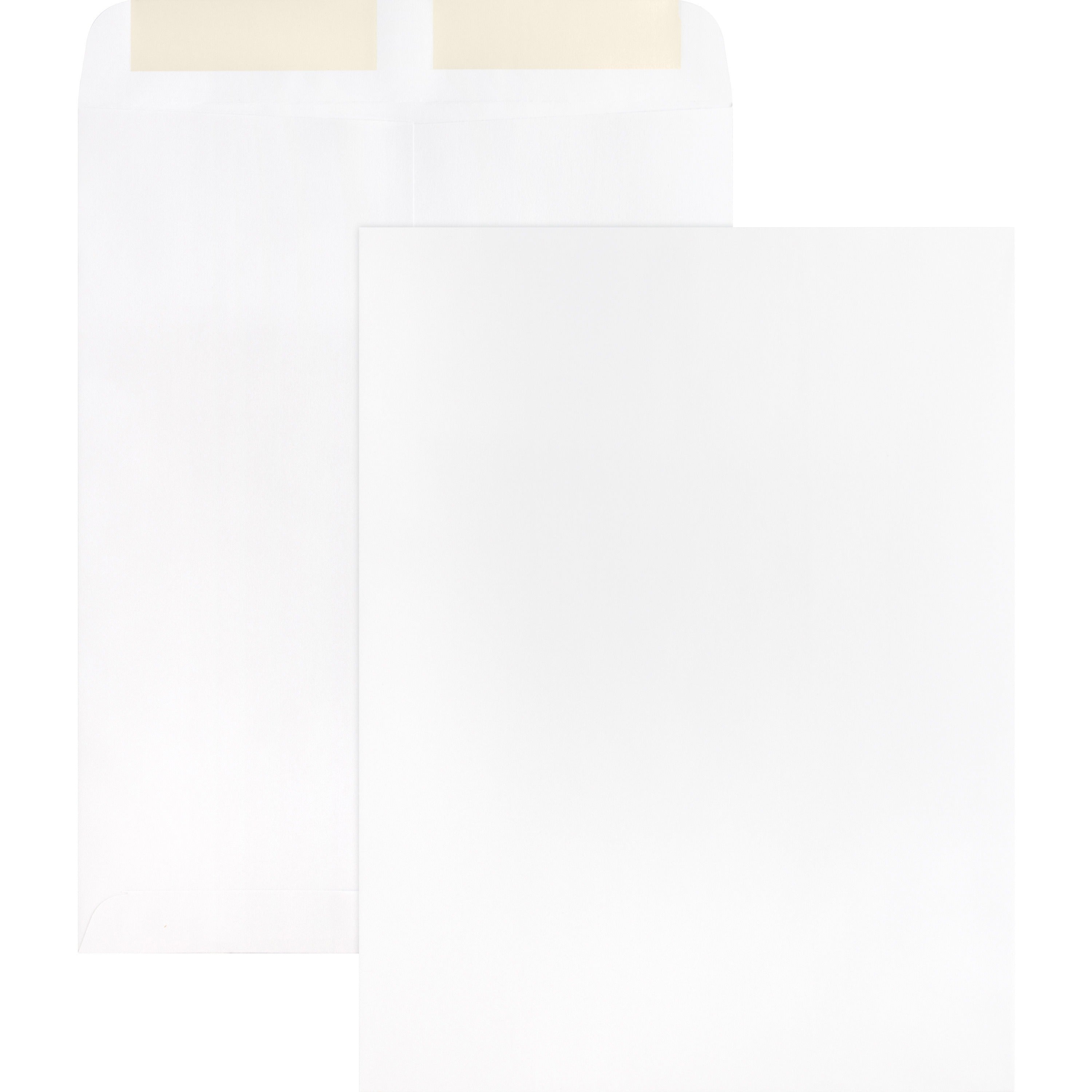 Business Source 28 lb. White Catalog Envelopes - Catalog - #10 1/2 - 9" Width x 12" Length - 28 lb - Gummed - White - Wove - 250 / Box