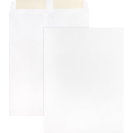 Business Source 28 lb. White Catalog Envelopes - Catalog - #10 1/2 - 9" Width x 12" Length - 28 lb - Gummed - White - Wove - 250 / Box