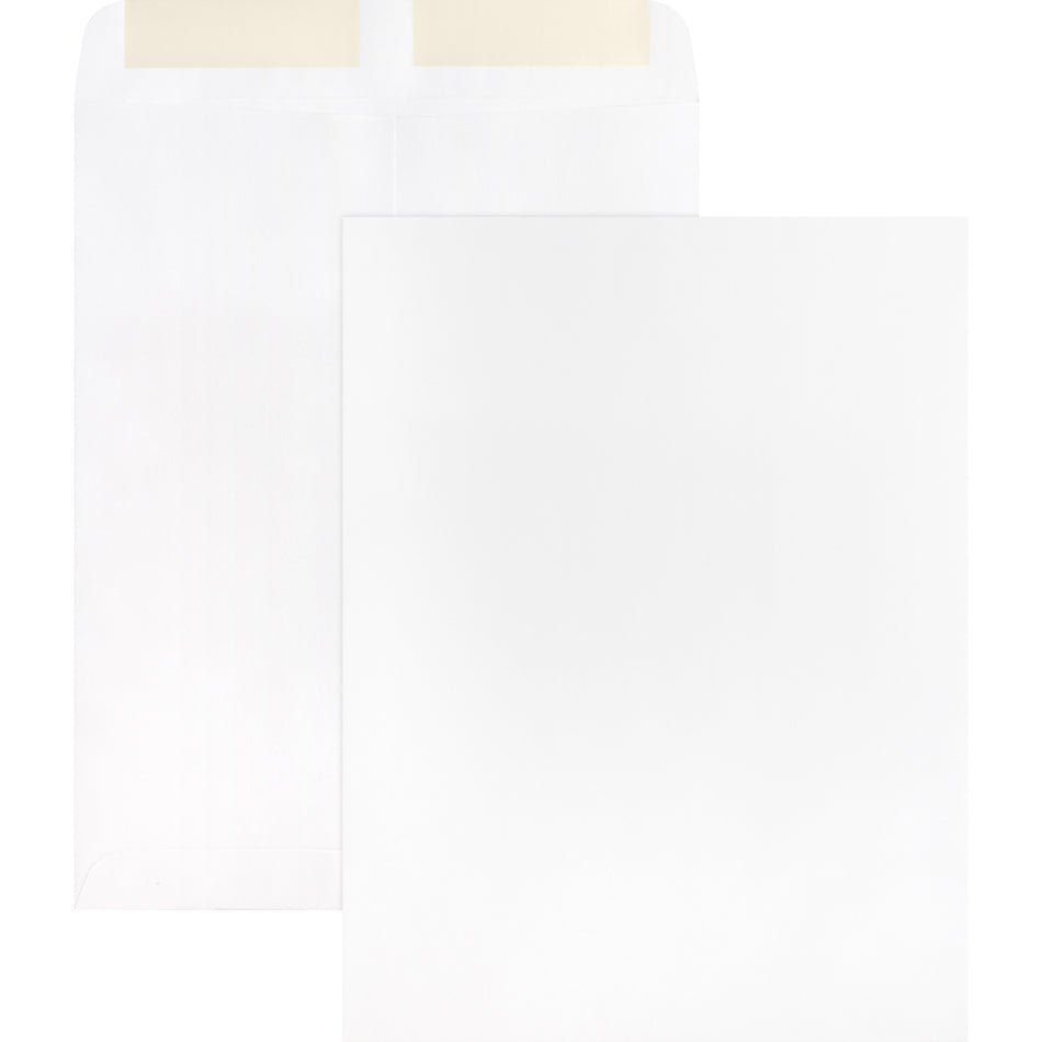 Business Source 28 lb. White Catalog Envelopes - Catalog - #10 1/2 - 9" Width x 12" Length - 28 lb - Gummed - White - Wove - 250 / Box
