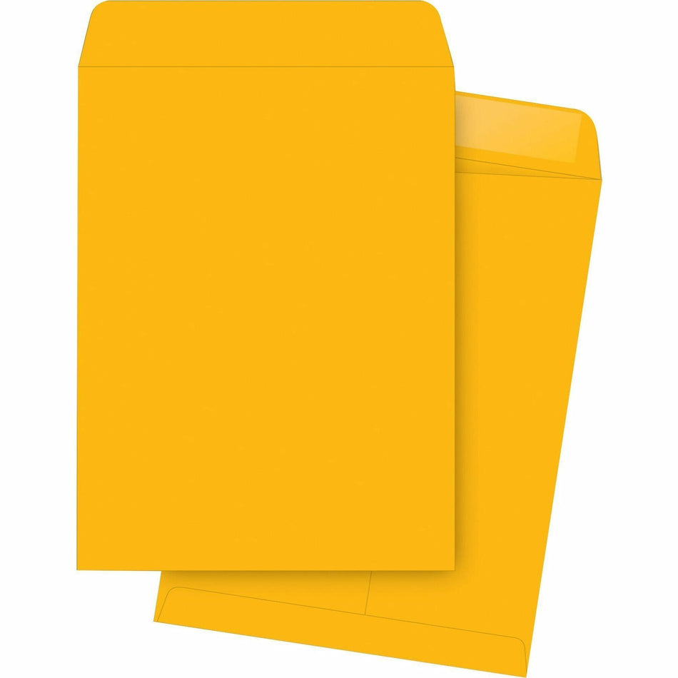 Business Source Durable Kraft Catalog Envelopes - Document - #10 1/2 - 9" Width x 12" Length - 24 lb - Gummed - Kraft - Kraft - 250 / Box