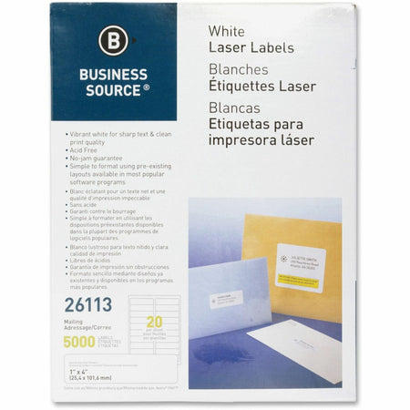 Business Source Bright White Premium-quality Address Labels - 1" Width x 4" Length - Permanent Adhesive - Rectangle - Laser, Inkjet - White - Lignin-free, Jam-free - 20 / Sheet - 250 Total Sheets - 5000 / Pack