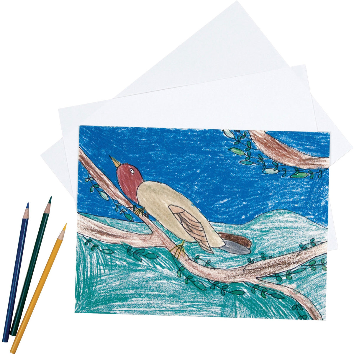 Pacon®  Heavyweight Drawing Paper - 500 Sheets - Plain - 18" x 24" Sheet Size - White Paper - Acid-free - 500 / Ream