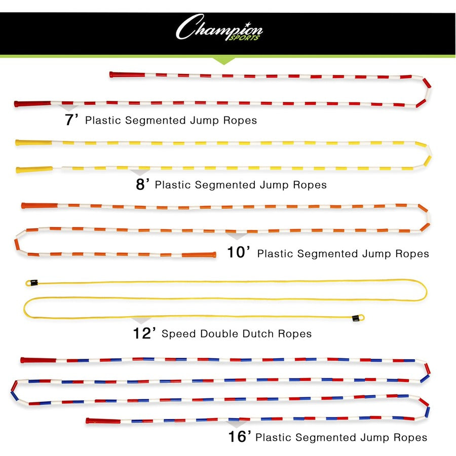 Champion Sports Playground Set: 21-Piece Assorted Variety Pack