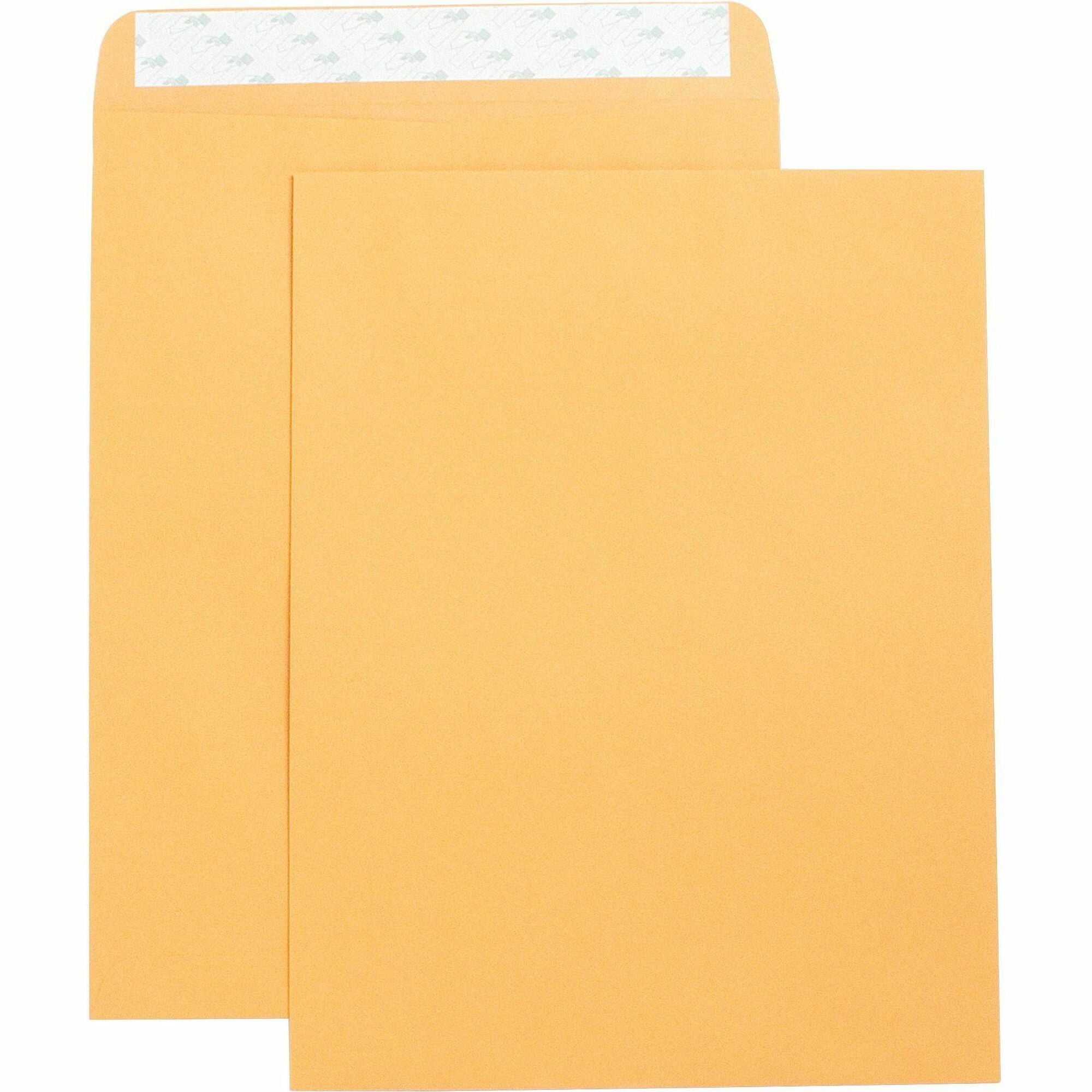 Business Source Self Adhesive Kraft Catalog Envelopes - Catalog - 10" Width x 13" Length - 28 lb - Self-sealing - Brown Kraft - Kraft - 250 / Box