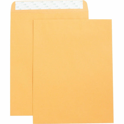 Business Source Self Adhesive Kraft Catalog Envelopes - 10x13 - 250/Box - Large Format