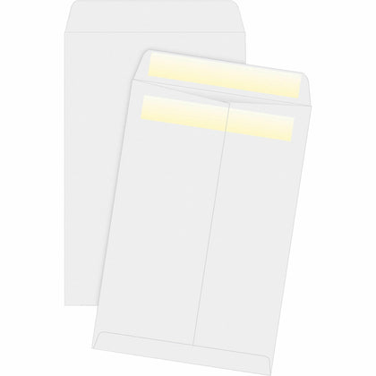 Business Source Press/Seal Catalog Envelopes - 6x9 - 28 lb - White - 100/Box - Large Format
