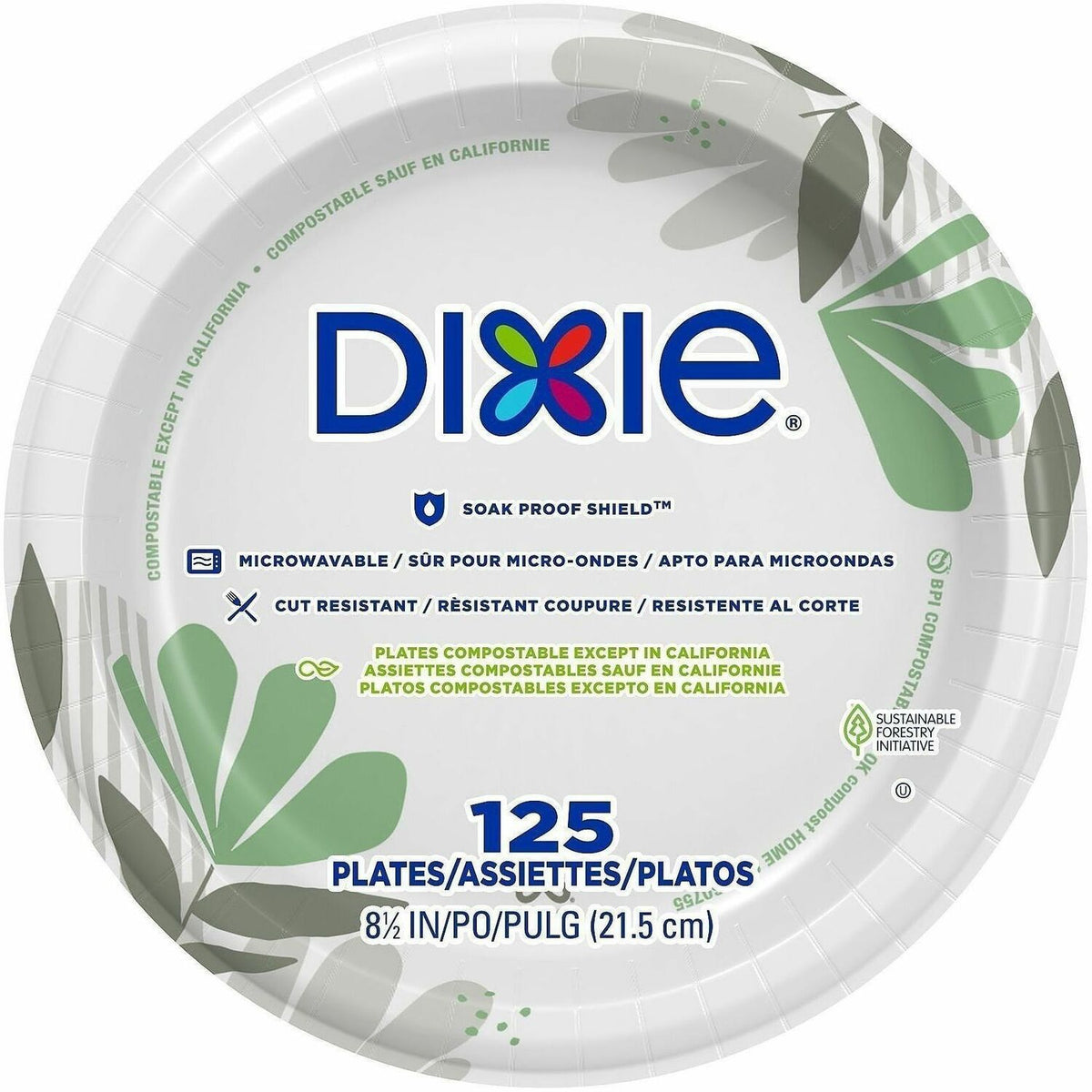 Dixie Foods Pathways Design Everyday Paper Plates - 1500