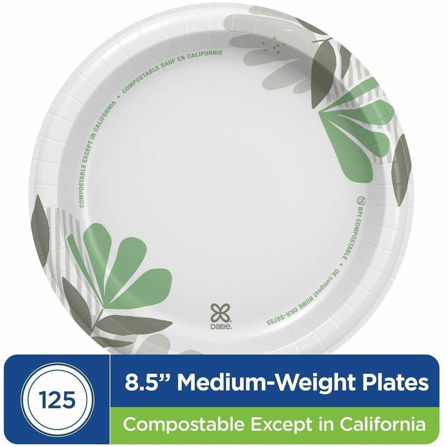 Dixie Foods Pathways Everyday Paper Plates - Alternate-Image2