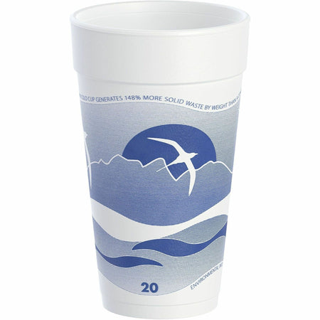 Dart J Cup 20 oz Horizon Design Foam Cups - 2000