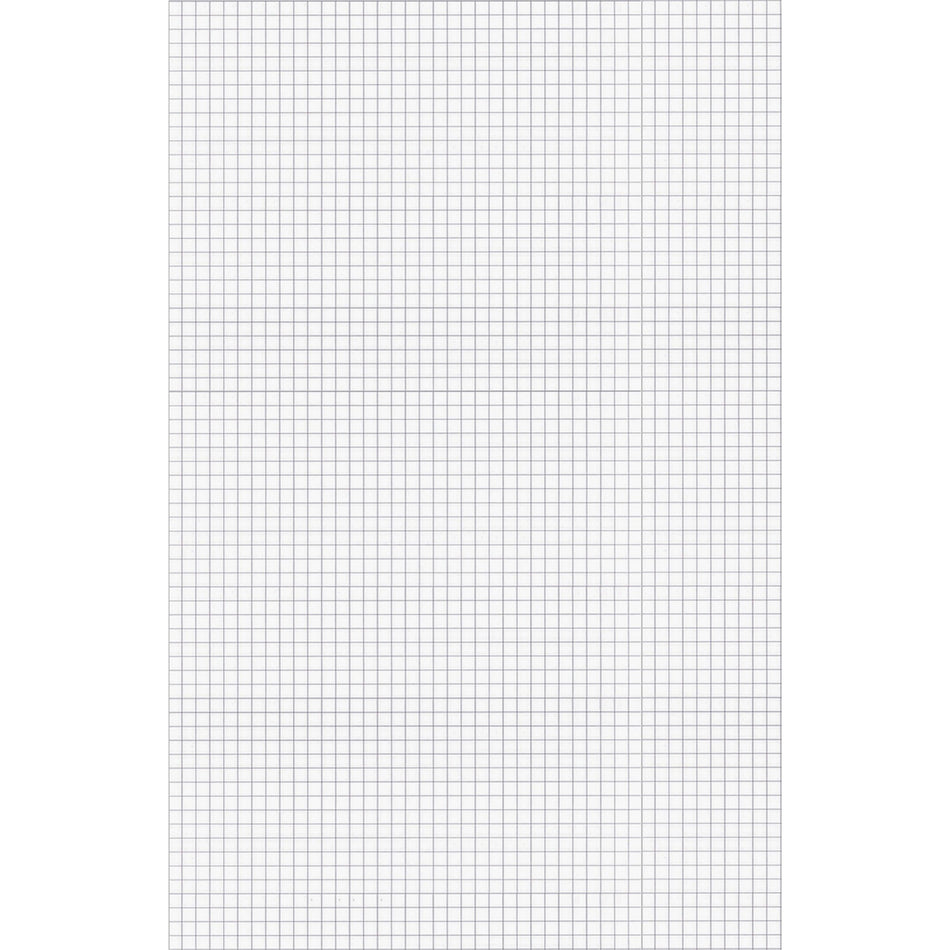 Ampad Graph Pad - 50 Sheets - Both Side Ruling Surface - 15 lb Basis Weight - Tabloid - 11" x 17" Sheet Size - White Paper - Chipboard Backing, Smudge Resistant - 1 Pad