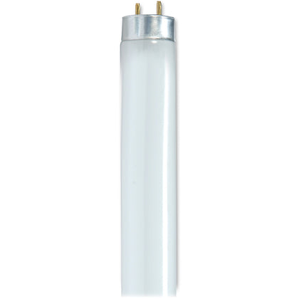 Satco 32W T8 4100K Fluorescent Bulbs - 32 W - 120 V AC - Size - Cool White Light Color - G13 Base - 24000 Hour - 4100°K