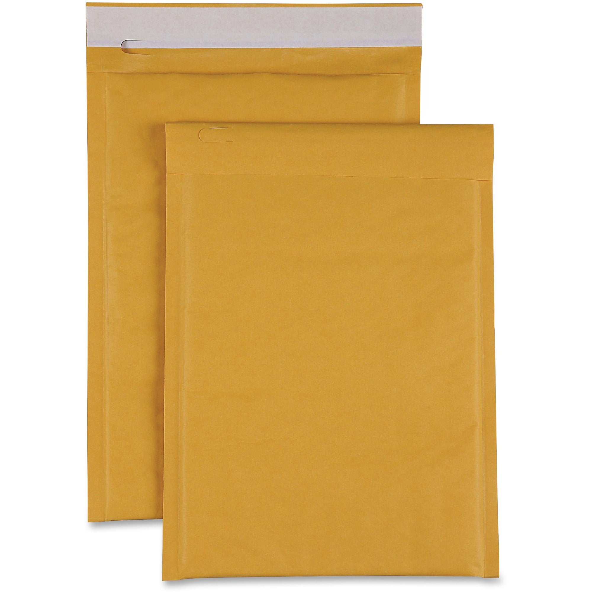 Sparco Size 00 Bubble Cushioned Mailers - Bubble - #00 - 5" Width x 10" Length - Self-sealing - Kraft - Kraft - 250 / Carton