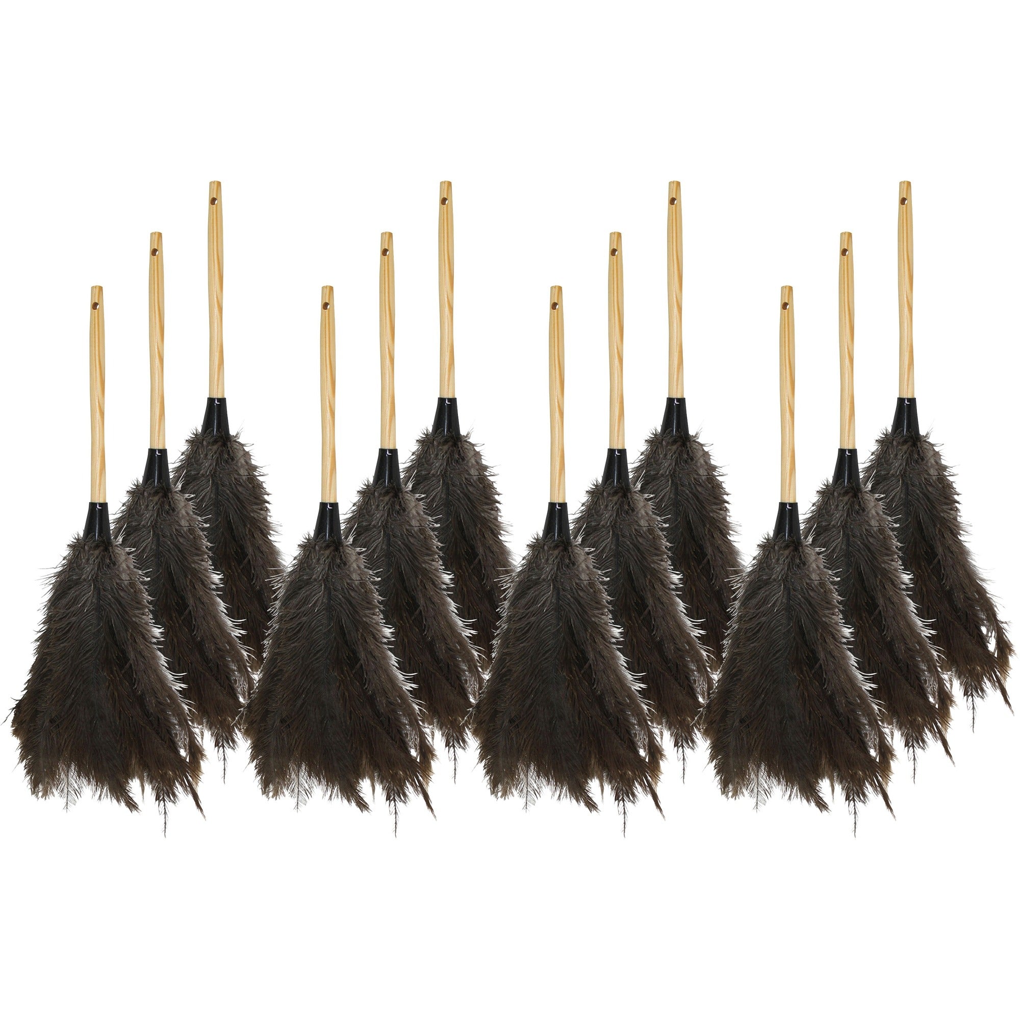 Genuine Joe Feather Duster - Brown - 12 / Carton