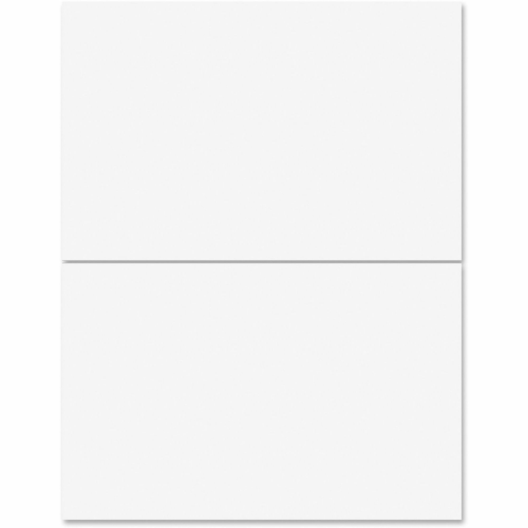 Business Source Multipurpose Shipping Labels - 5 1/2" Width x 8 1/2" Length - Permanent Adhesive - Rectangle - Laser, Inkjet - 2 / Sheet - 500 Total Sheets - 1000 / Carton