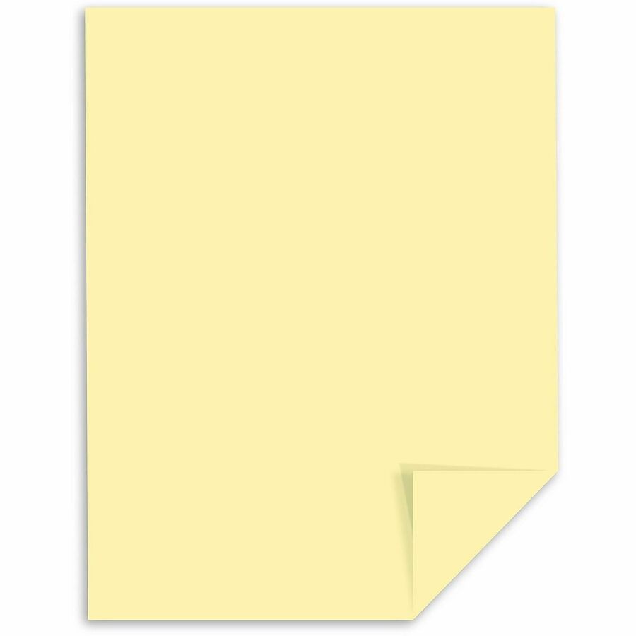 Exact Vellum Bristol Paper - Ivory - Letter - 8 1/2" x 11" - 67 lb Basis Weight - Heavyweight, Durable, Quick Drying, Acid-free - Ivory - 250 / Pack