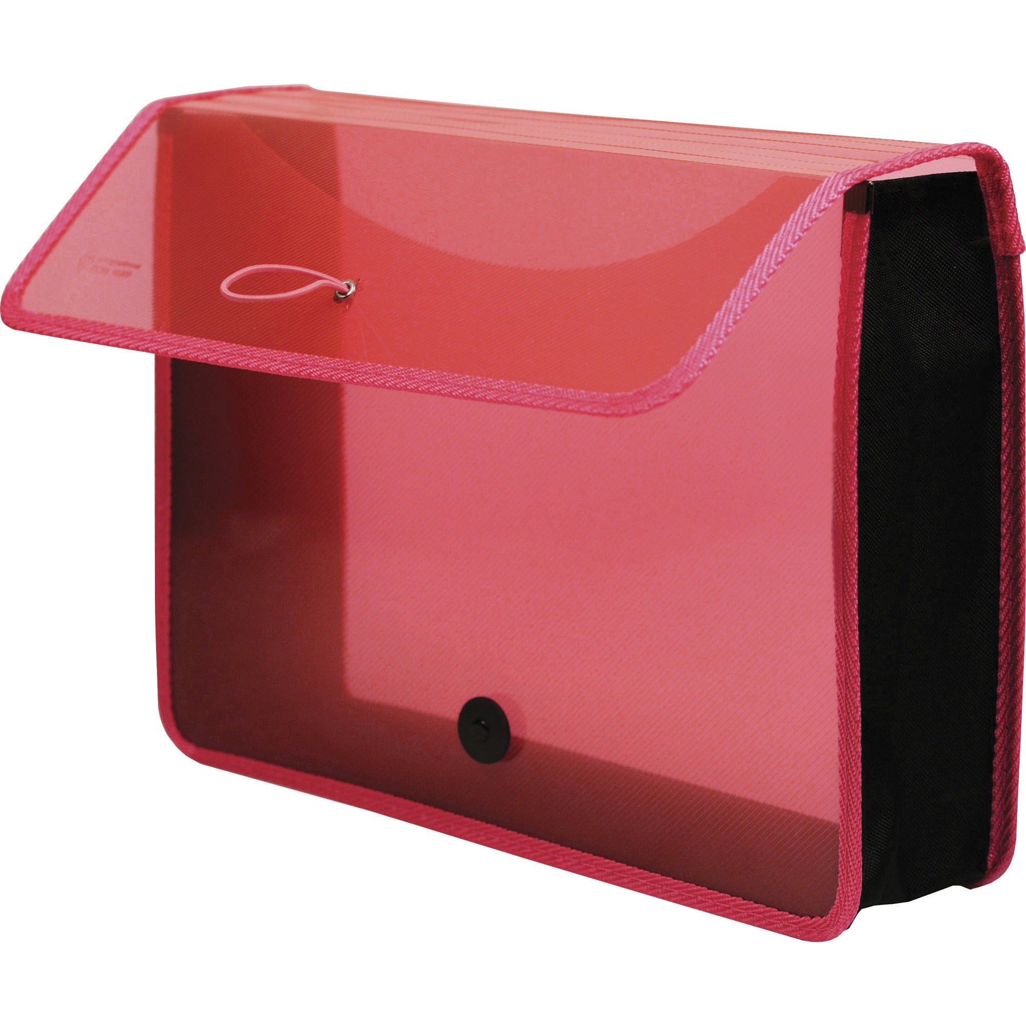 Lion EXPAND-N-FILE Letter File Wallet - 2000