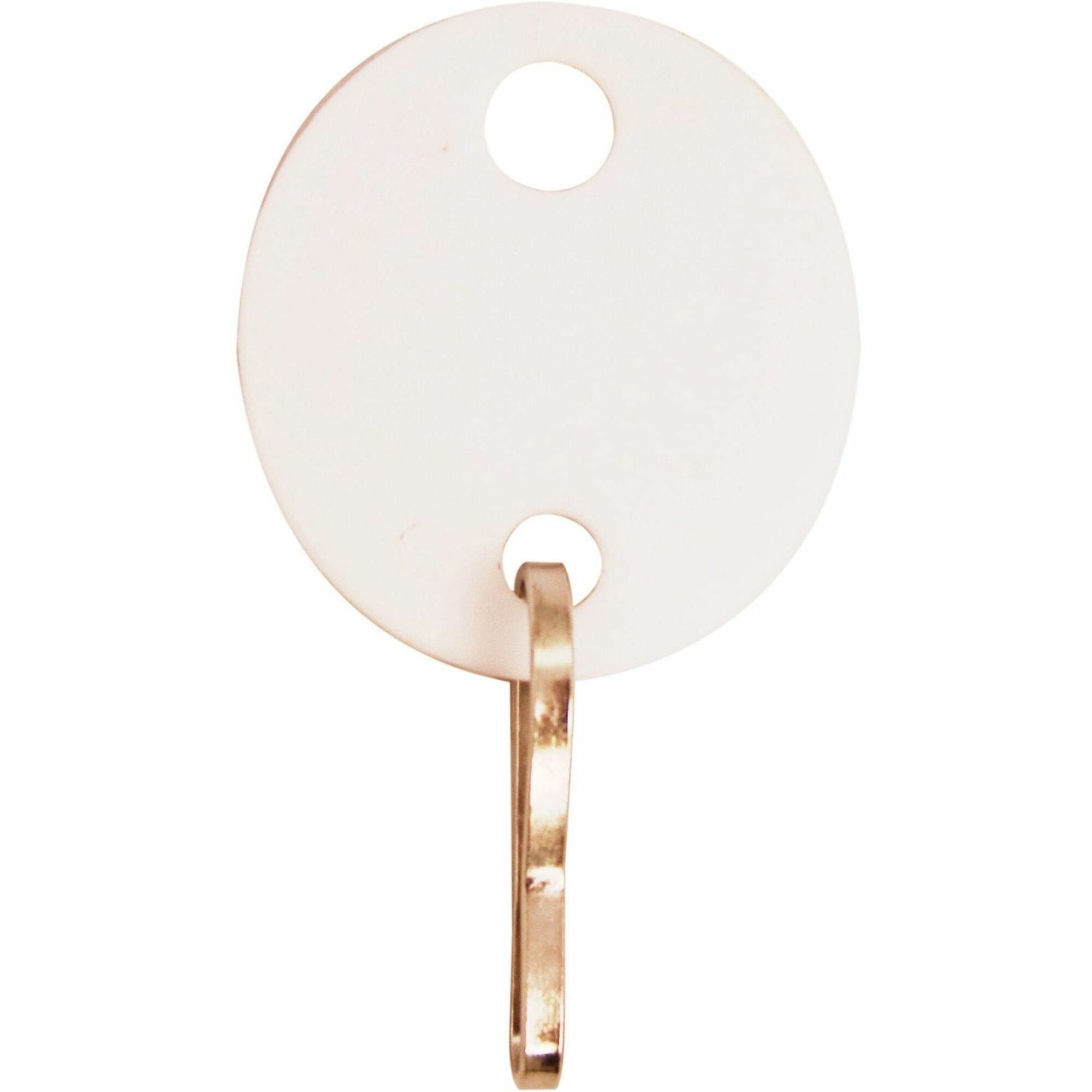Sparco Oval Key Tags - 0.75" Length x 1.10" Width - Oval - Hook Fastener - Plastic - White - 20 / Pack