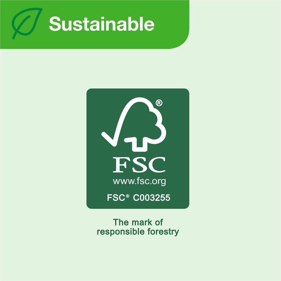 TORK Paper Hand Towel Roll White H80 - 1 Ply - 720 Sheets/Roll - 7.80" Roll Diameter - 1 15/16" Core - White - Fiber - 6 / Carton