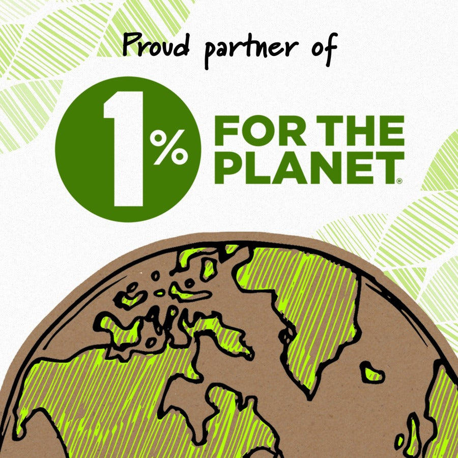 BIC Ecolutions Permanent Marker - 4.2 mm Bullet Marker Point - Blue, Green, Black, Red Ink - 1 Dozen