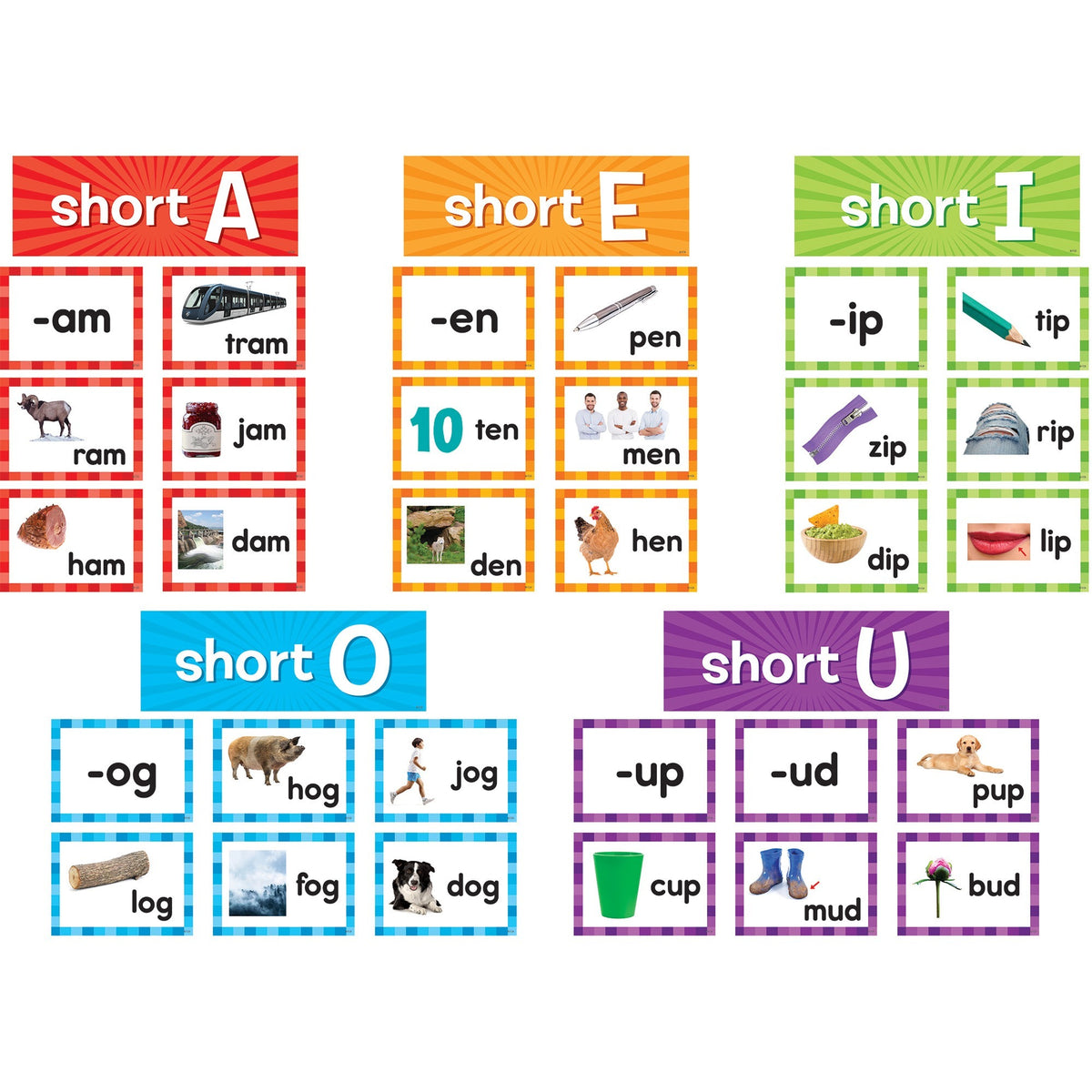 Teacher Created Resources Short Vowels Pocket Chart Cards - Skill Learning: Short Vowels - 205 Pieces - 205 / Pack