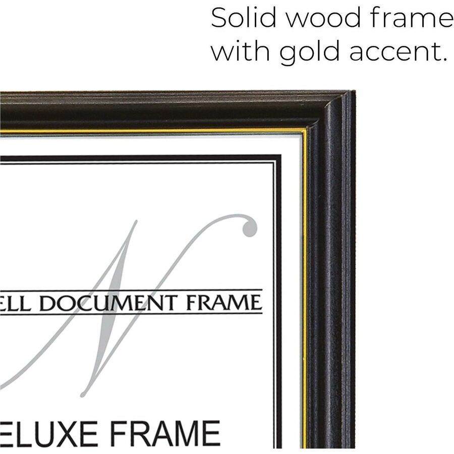 nudell Document Frame - Alternate-Image1