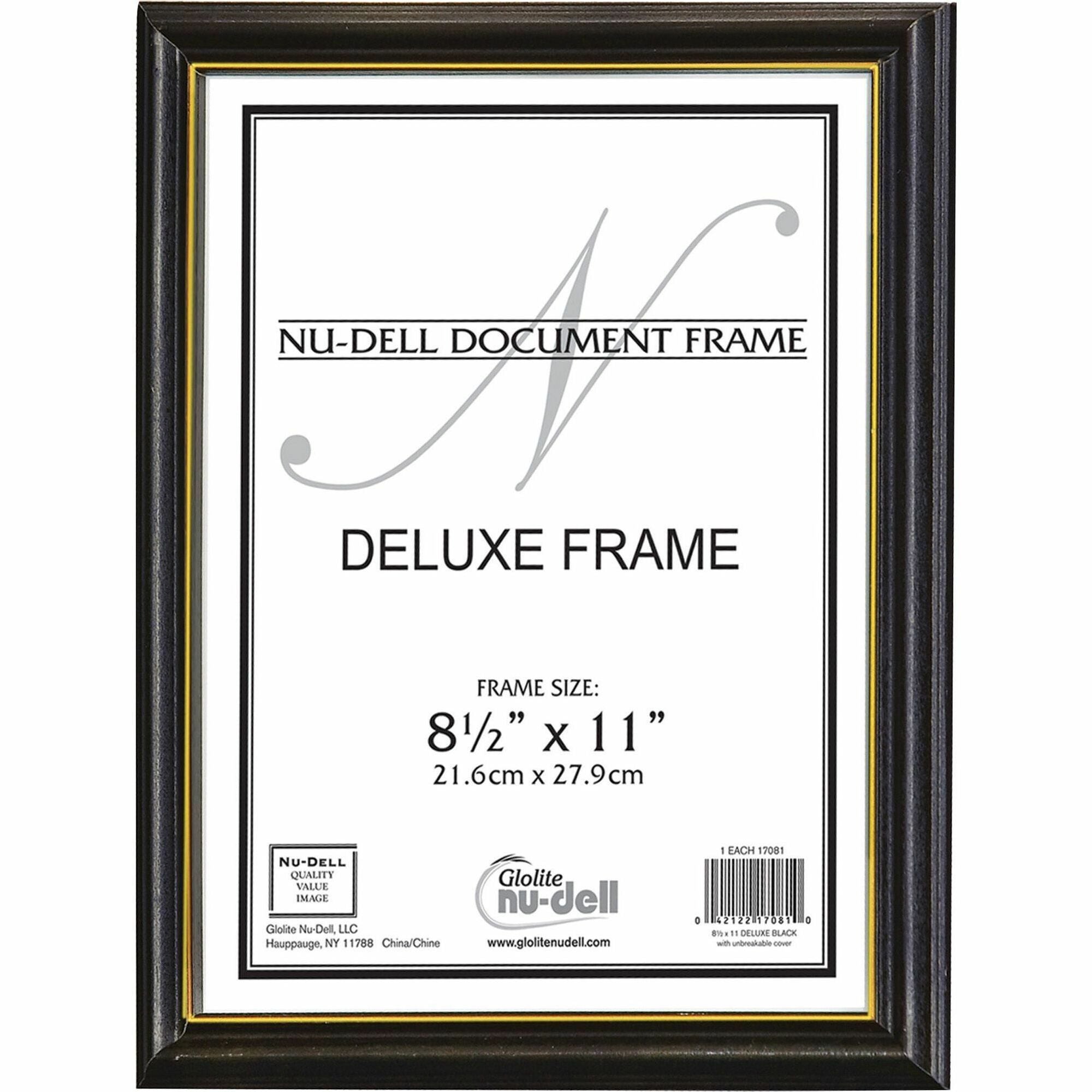 nudell Document Frame - 2000