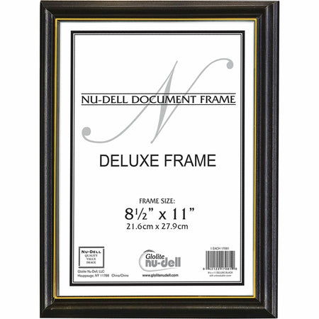 nudell Document Frame - 2000