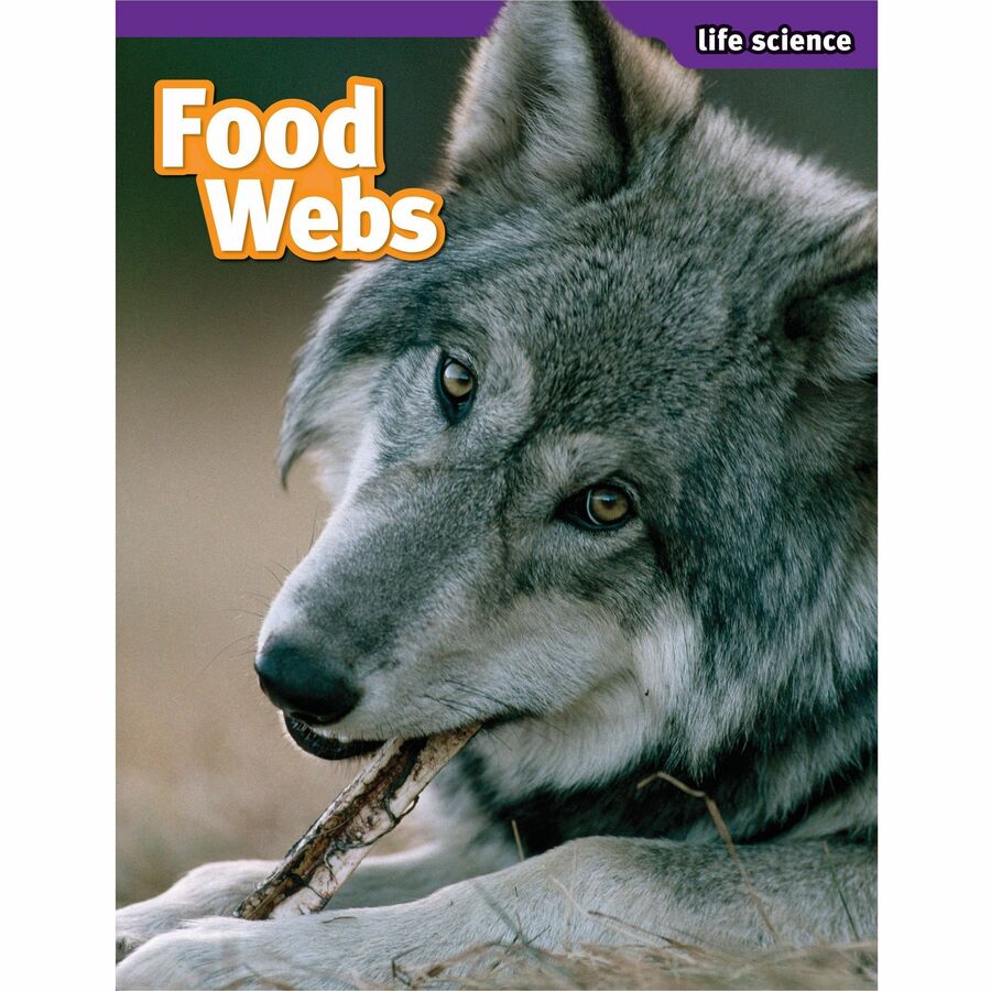 Scholastic SuperScience STEM Instant Activities Printed Book - Grade 4-6