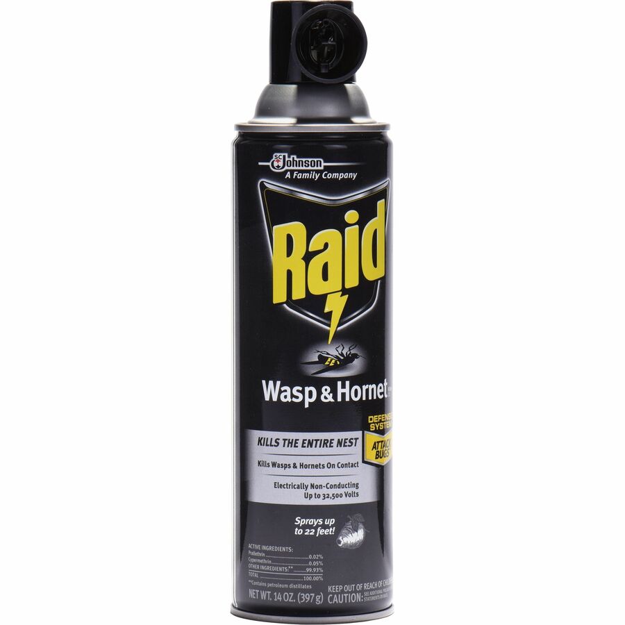 Raid Wasp and Hornet Killer 33 - Right