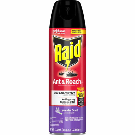 Raid Ant & Roach Killer Spray - Spray - Kills Ants, Cockroaches, Water Bugs, Palmetto Bug, Silverfish, Carpet Beetle, Earwig, Spider, Lady Beetle, Black Widow Spider - 17.50 fl oz - Red - 1 Each