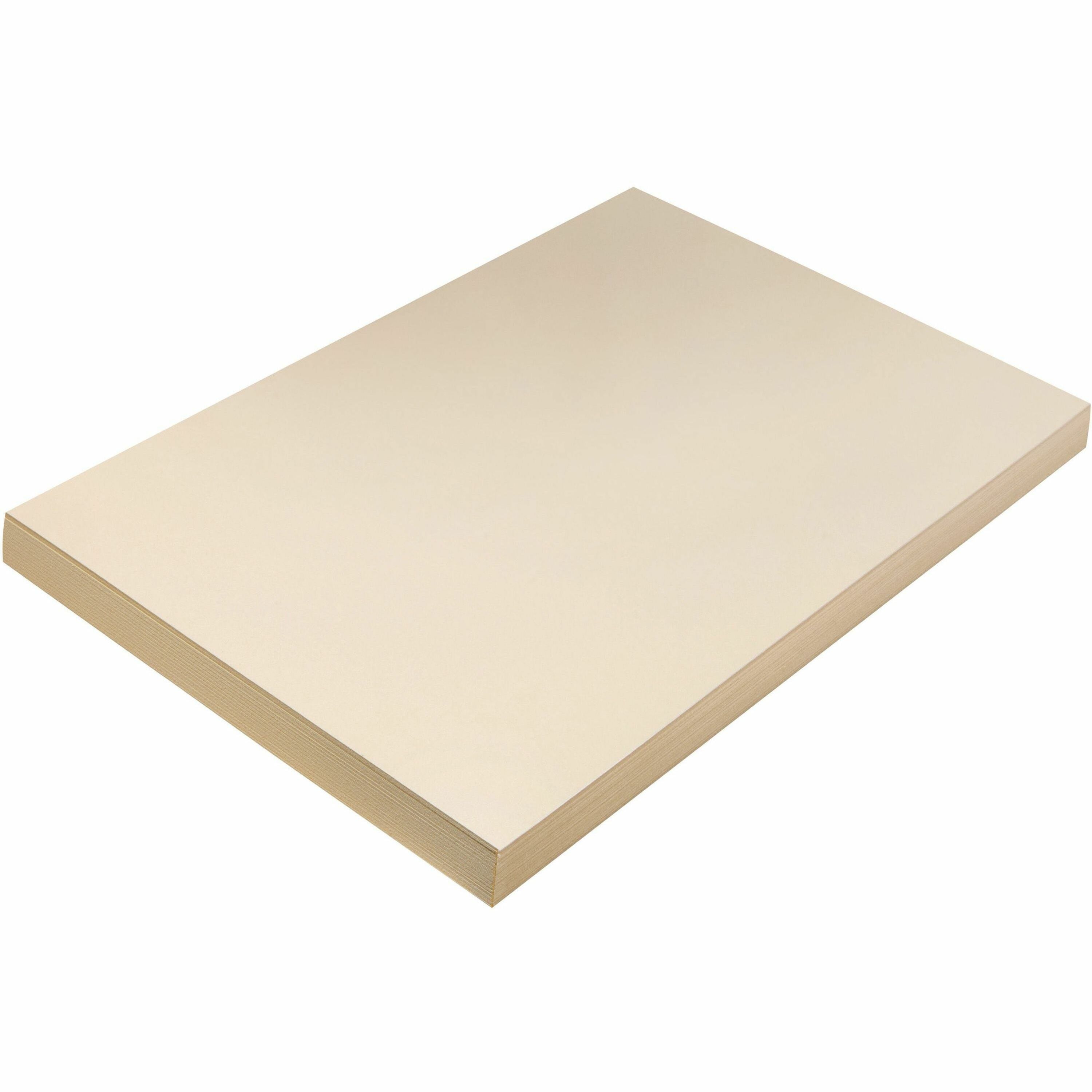 Pacon Tagboard - Craft, Art - 12" Width x 18" Length - Manila - 100 / Pack