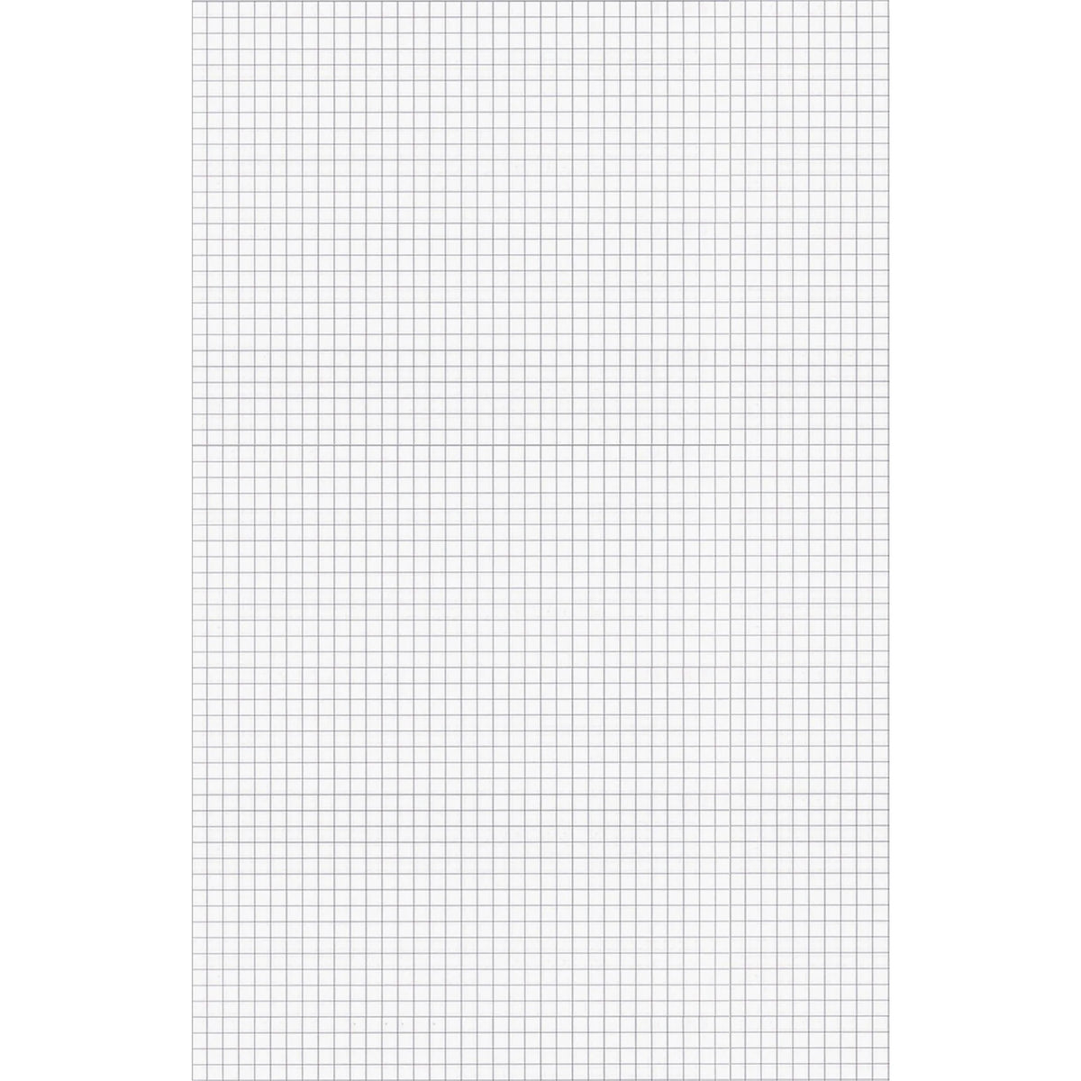 Ampad Graph Pad: Tabloid Size 50 Sheets 11x17 Smudge Resistant - Paper