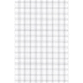 Ampad Graph Pad - 50 Sheets - Both Side Ruling Surface - 15 lb Basis Weight - Tabloid - 11’’ x 17’’ Sheet Size - White