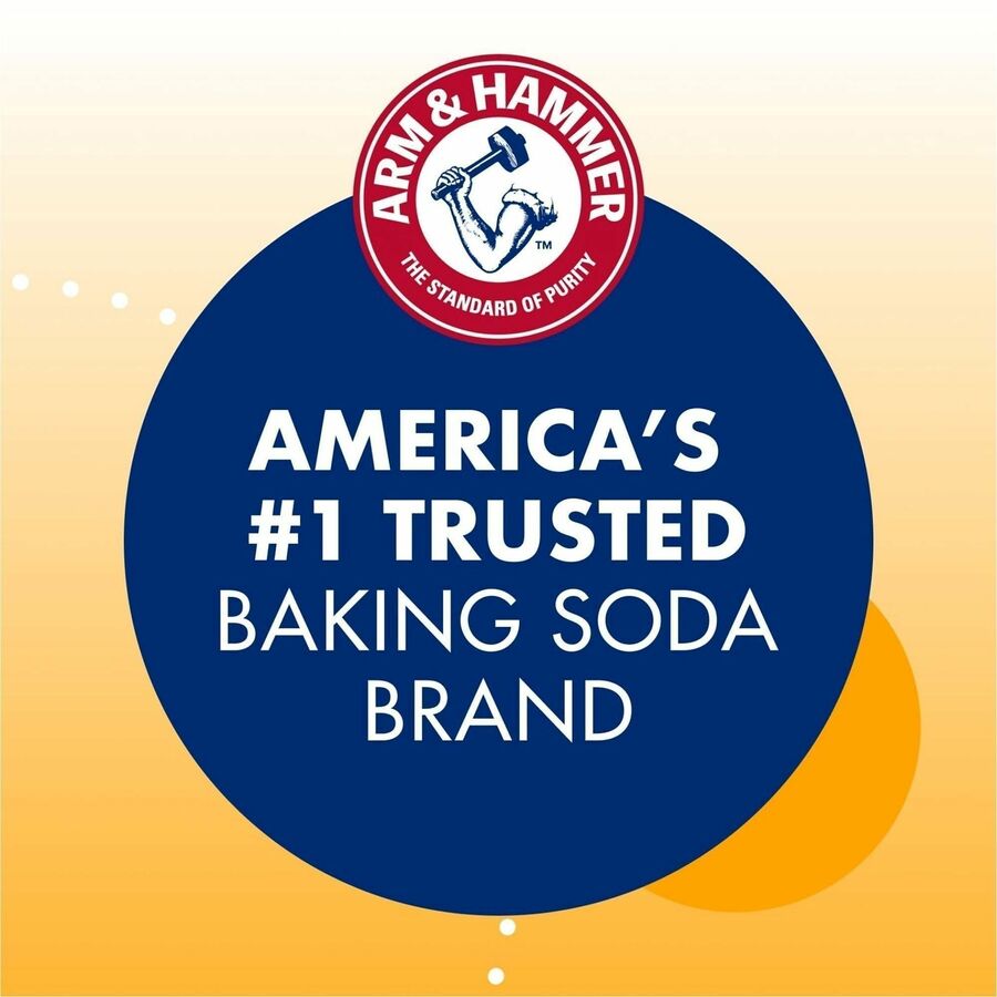 Arm & Hammer Commercial Fridge Odor Absorber - For Refrigerator Restaurant Kitchen - 16 oz (1 lb) - Deodorizers
