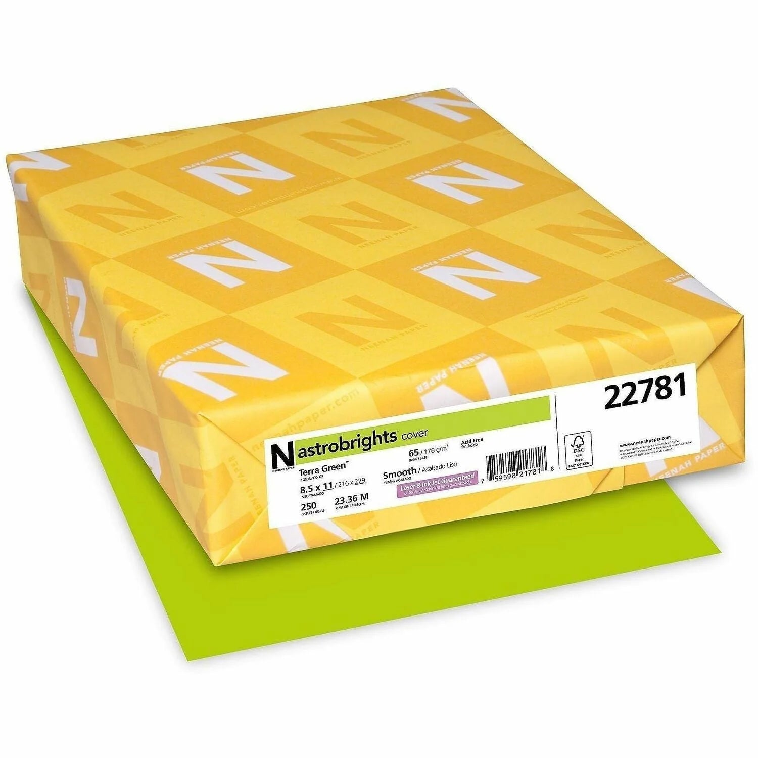 Astrobrights Terra Green Card Stock: 65 lb Acid-free Heavyweight - 250/Pack - Specialty Paper