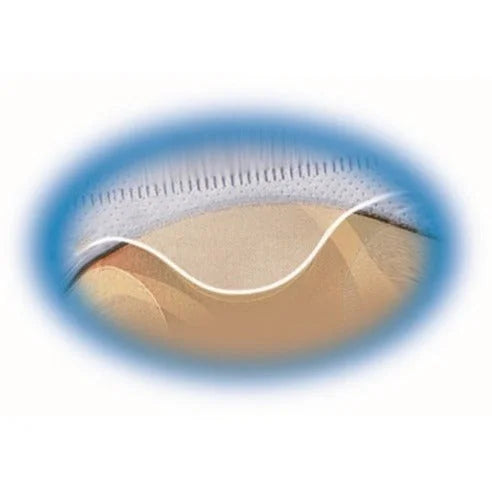 Avery CD Pages: 4 x CD/DVD Capacity Top Loading Clear - 5/Pack - Binder Refill Pages