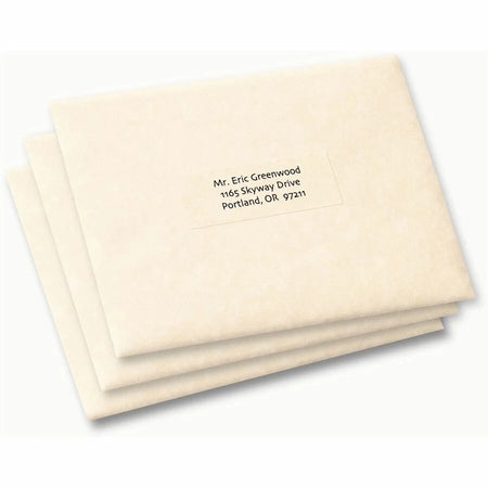 Avery® Address Label - 1’’ Width x 2 13/16’’ Length - Permanent Adhesive - Rectangle - Frosted Clear - Film - 33