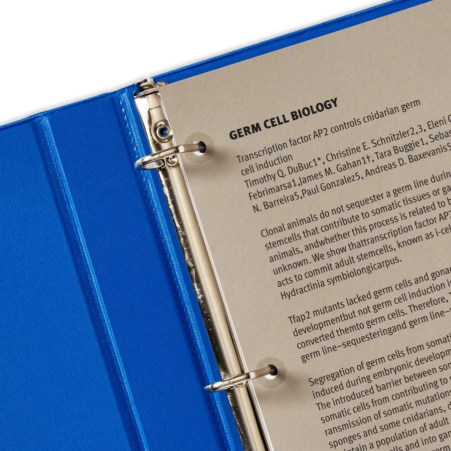 Avery® Hole Reinforcement Label Rings: 0.3’’ Clear Polyvinyl - 1000/Pack - Binder Reinforcements