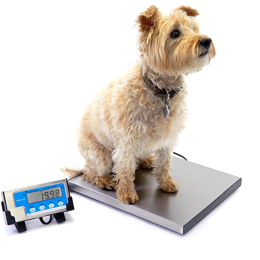 Brecknell Portable Shipping Scale: 400 lb Capacity - White Finish - Mailroom Equipment & Supplies
