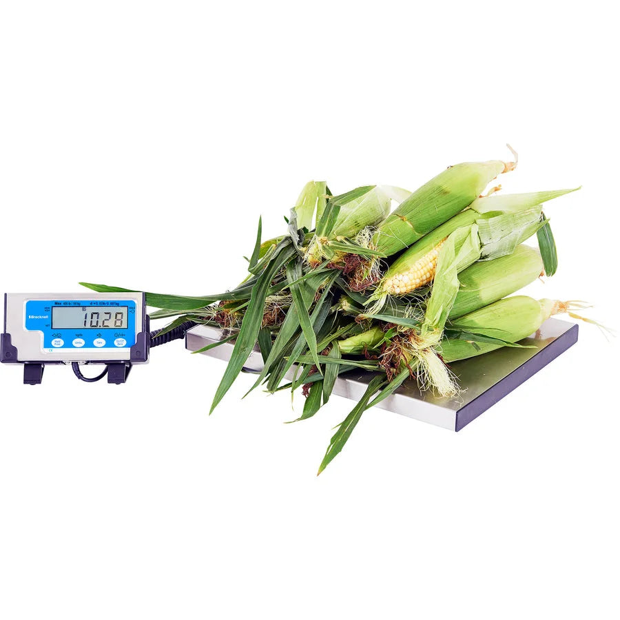 Brecknell Portable Shipping Scale: 400 lb Capacity - White Finish - Mailroom Equipment & Supplies
