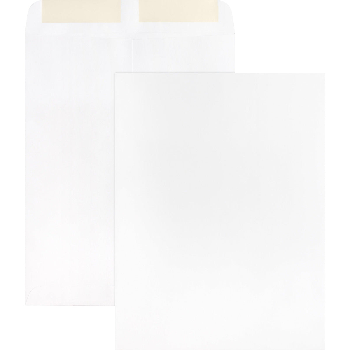 Business Source 28 lb. White Catalog Envelopes - 2000