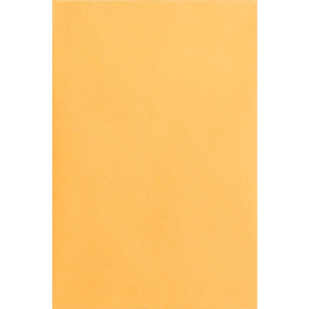 Business Source Durable Kraft Catalog Envelopes - Front