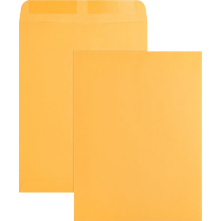 Business Source Kraft Gummed Catalog Envelopes - 2000