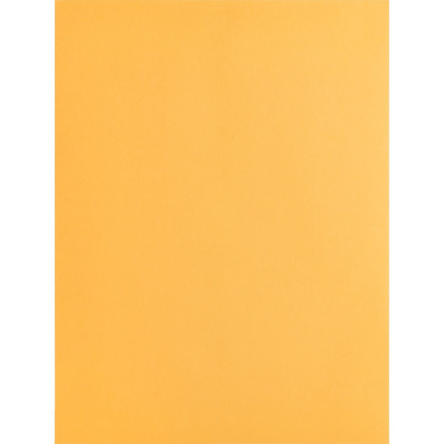 Business Source Kraft Gummed Catalog Envelopes - Front