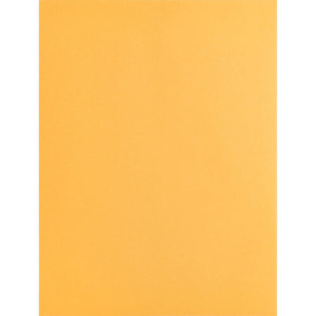 Business Source Kraft Gummed Catalog Envelopes - Front